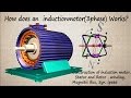Three Phase Induction Motor, How it works?