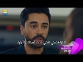 نبضات قلب الحلقة 12 مترجمة للعربية 