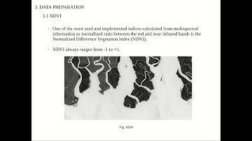 Project(2016CSEPID22)Monitoring Mangrove Forest Cover Changes Using RS & GIS Data with ML Techniques