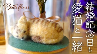 結婚記念日のボトルフラワー作り。 bottle flower with sleeping cat [Wedding Anniversary]