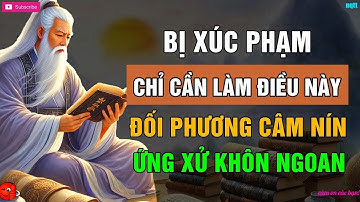 Làm Gì Khi Bị Người Khác XÚC PHẠM, Đây Là Cách LẬT NGƯỢC Tình Thế Của NGƯỜI KHÔN
