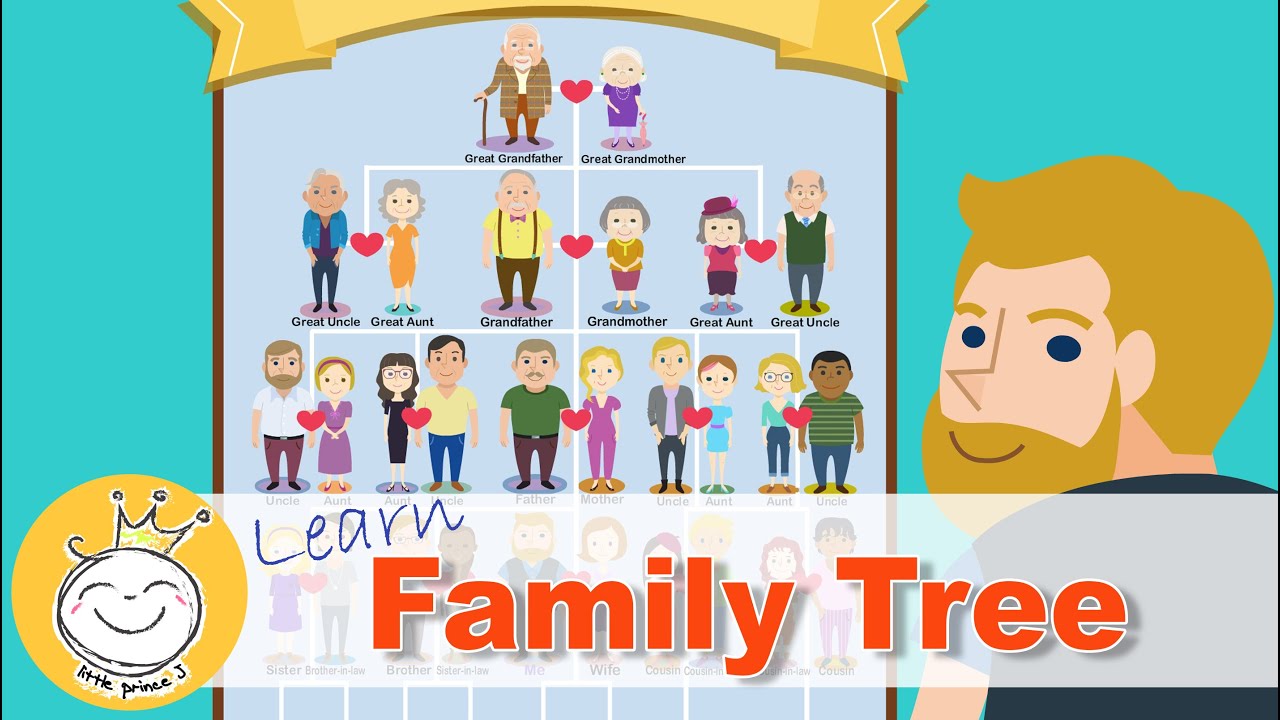 Family Tree | Family Members | Learn Family Tree For Kids - YouTube