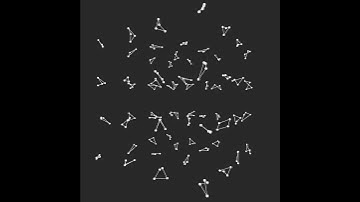 Quadrilateral(3D). openFrameworks