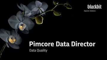 Pimcore Data Director: Data Quality (Automation, Workflows, Visualization)