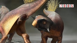 What Did Dinosaur Cloacas (Bums) Look Like | 7 Days of Science