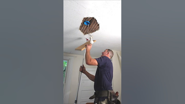 Plaster Repair