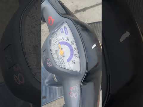 Honda pal ремень