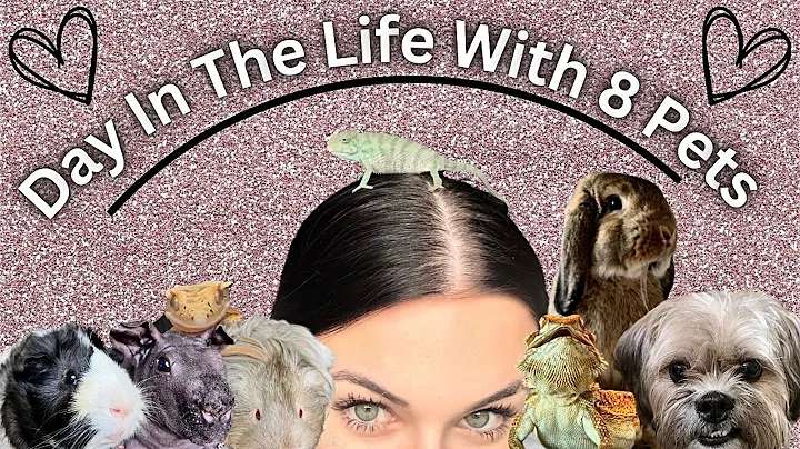 Day In The Life With 8 Pets Who Live In My Room!!! (CHAOS) thumbnail