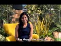 How Nutrition Revitalised Supports Your Health