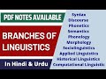 Branches of Linguistics | Branches in Hindi | Skillz Learner