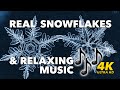Real Snowflakes & Relaxing Music (4K)