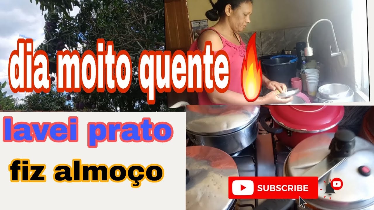 lavei uma pia de prato e fiz almoço 