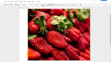 Google Documents - Insert Image by URL