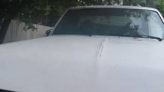 The Great 88. F-150 Turbo LS Build