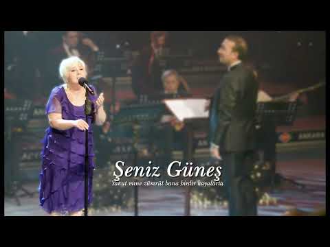 Şeniz Güneş ~