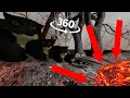 Big &amp; Small 360° VR Maxwell The Cat go to the lava
