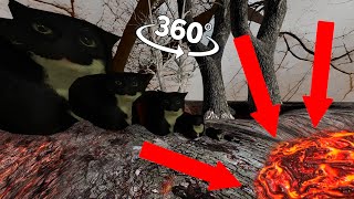 Big &amp; Small 360° VR Maxwell The Cat go to the lava