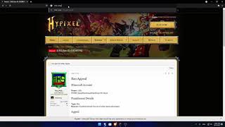 I get ban after unban instantly in hypixel (look desc)