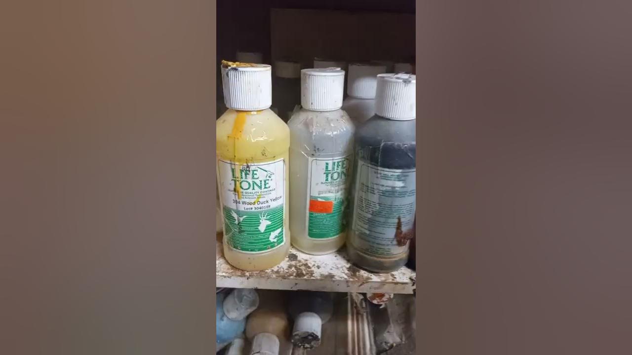 AAR TAXIDERMY Airbrush Paint Setup / New Paint Cups for Less Lacquer