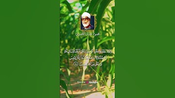 تلاوة مذهلة