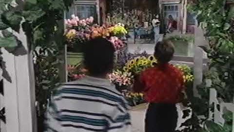 Walk Around The Block (2004 Version) Part 20