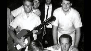 Video thumbnail of "Beach Boys - Riot In Cell Block #9  LIVE acoustic  (1965)"