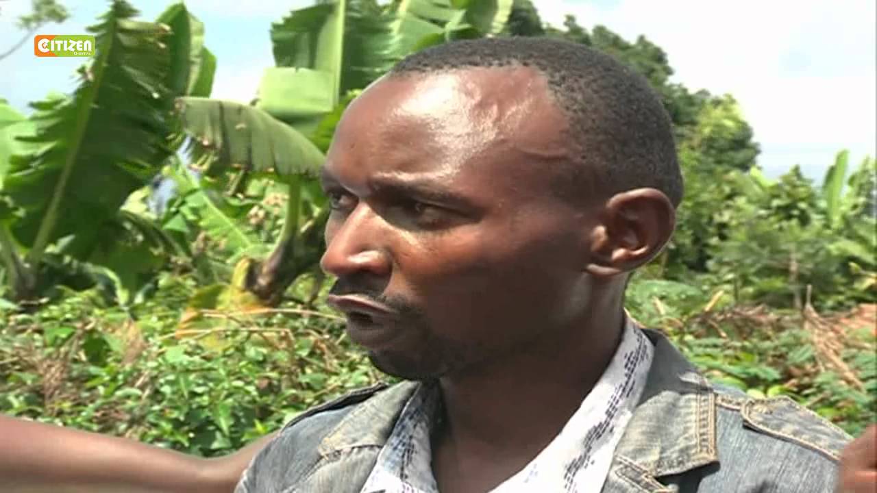 The Gatundu Cave Of Cult