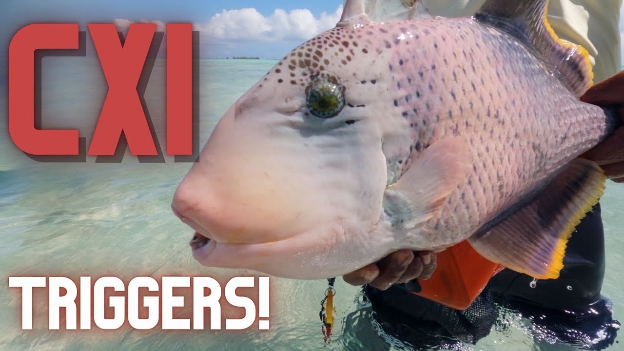 My Best Day Ever Fishing Triggers On Christmas Island! CXI 2025 Part 1