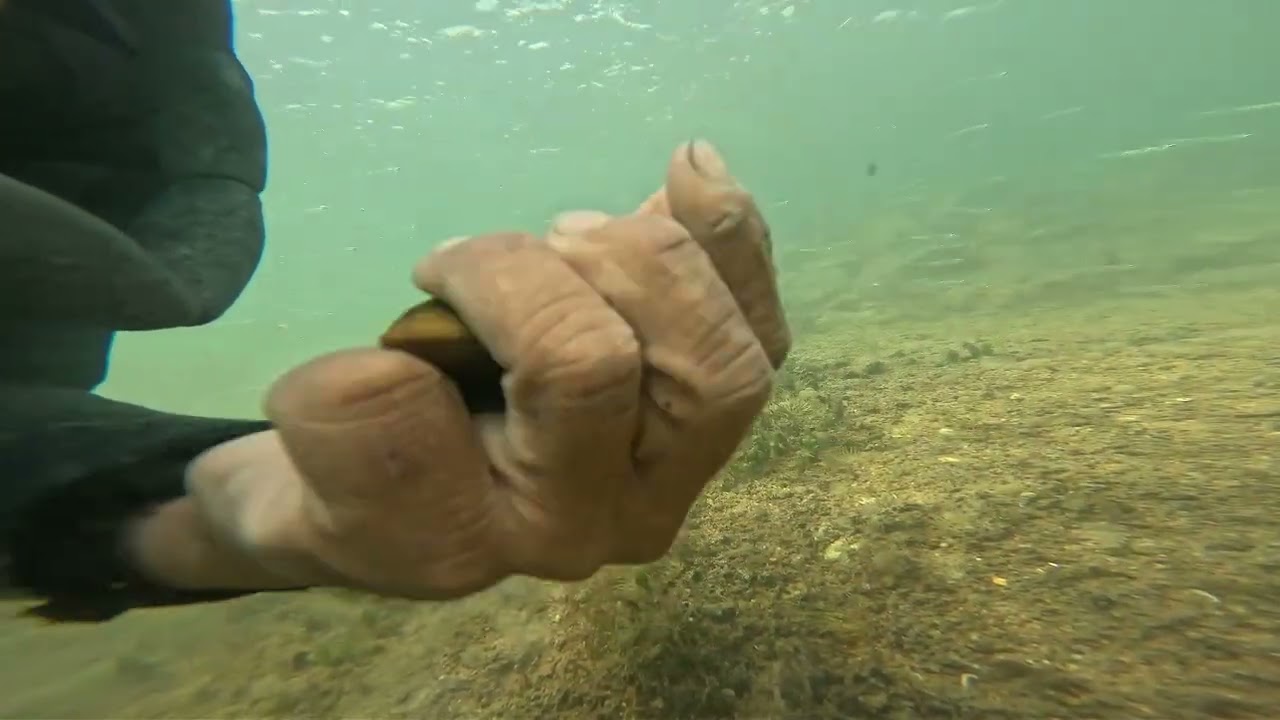 tặng cho anh em món quà đến từ thiên nhiên