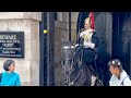 Kings guard shouts at silly tourist using horse box as umbrella