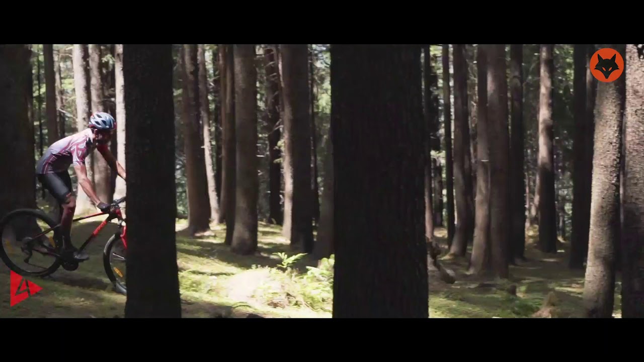 Go on a journey of thrill with Firefox Stravaro