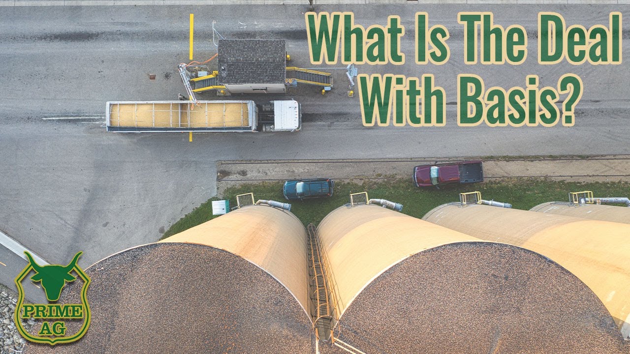 What Is Going On With Grain Basis? YouTube