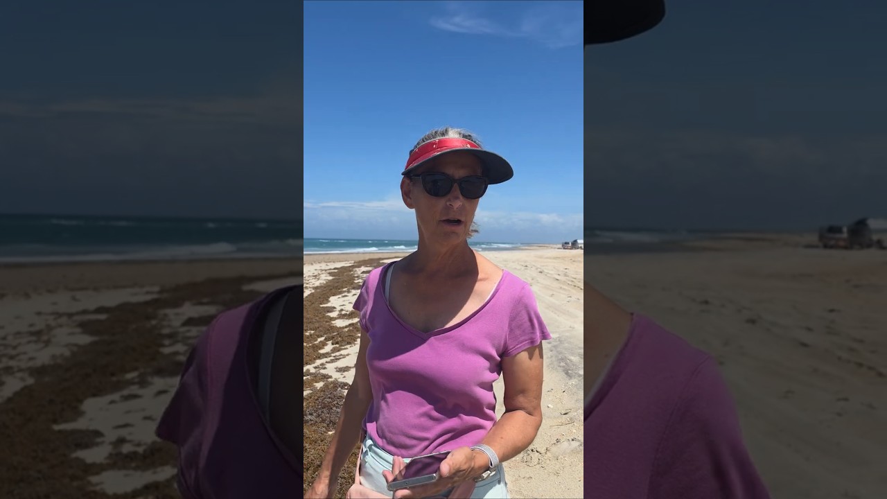 ⁣Cape Lookout Bight North Carolina