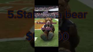 Top 8 highest paid nfl mascots#song #nfl #football #viralvideo #edit #superbowl