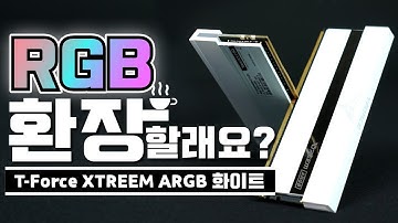 B대면 리뷰?! 나랑 예쁜 메모리 보러 가실래요?