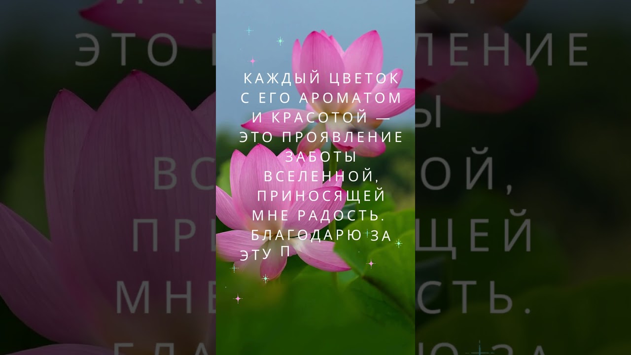 The Wonder of Flowers/Цветы как символ заботы