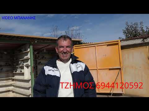 ΤΖΗΜΟΣ ΑΠΟ ΤΟΥΣ