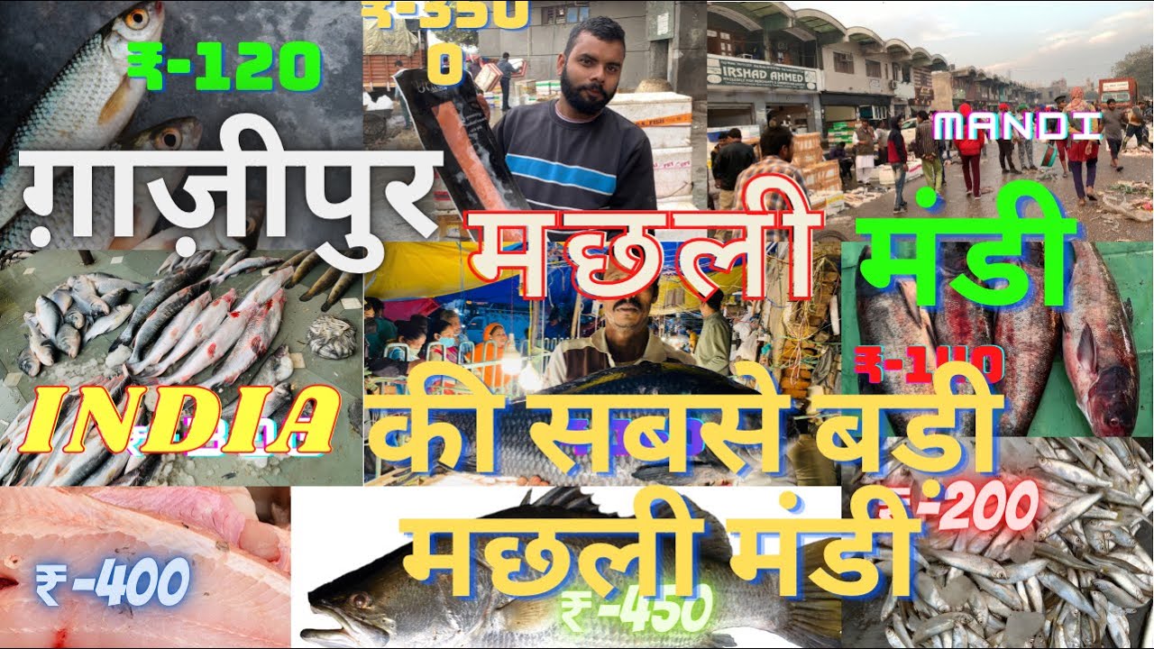Ghazipur fish mandi Delhighazipur mandi ghazipur fish market Delhi