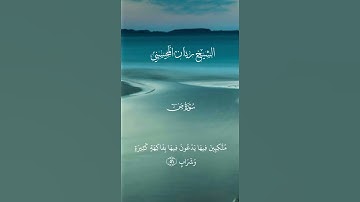 الشيخ ريان المحيسني      سورة ص            #القرآن_الكريم #المصحف #تلاوة_خاشعة #اكسبلور#لايك #duet