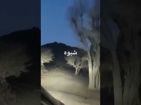 والعدل ما ياتي على يد ظالم دان شبواني روعه
