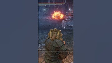 What Happens If We Execute Demi-Human Swordmaster Onze with Cannons? #eldenring #shadowoftheerdtree