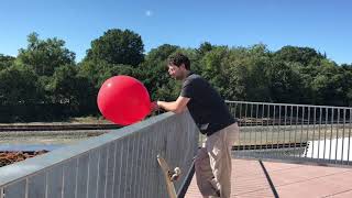Le Toit Vert et Le Ballon Rouge screenshot 5