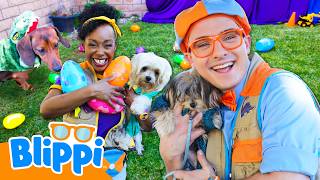 dino dress up competition puppies