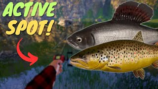 ACTIVE BROWN TROUT & GRAYLING SPOT IN BELAYA RIVER! #969 Russian fishing 4