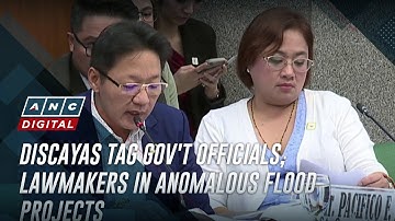 Discayas tag gov