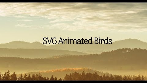 SVG Animation Birds Html Css