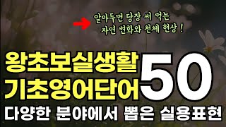 왕초보 실생활 쉬운영어단어50 - 자연,천체,기후ㅣ겁나 자주 듣는 영어단어ㅣ다양한 주제별,상황별 단어공부ㅣ그냥 듣기만 하세요ㅣ실용적인 영어단어 배우기ㅣ중년쉬운기초영어공부 #80