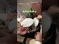 【胡鬧廚房】用平底鍋爆米花卻沒鍋蓋 一群人「拿盤子擋」場面超失控｜平底鍋｜爆米花｜炸廚房｜盤子