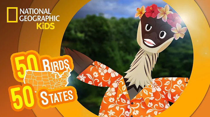 Hawaii - Feat. Rapper MC Nene the Nene | 50 Birds, 50 States