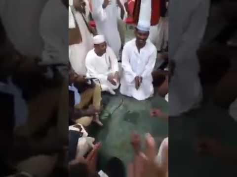 معني عوض عمر سيدون الي ويرنقجنا نوبة